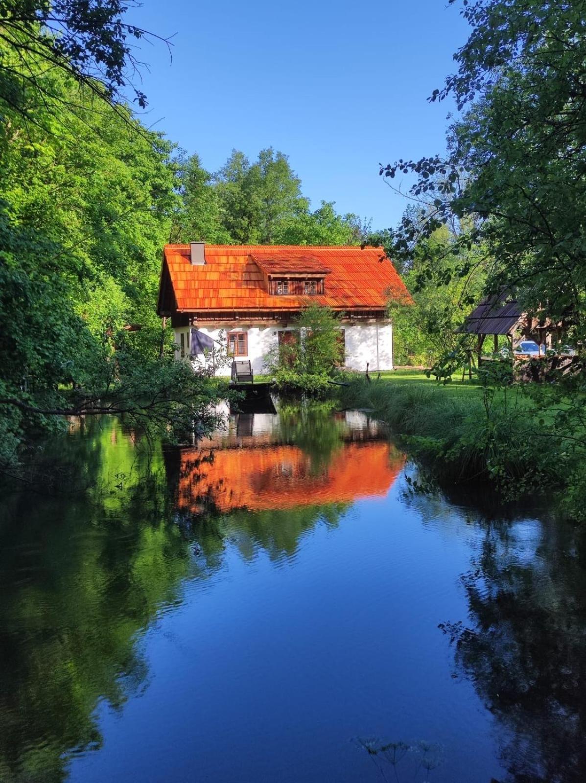 Sittersdorf Ferienhaus Klopeinersee Kaernten מראה חיצוני תמונה